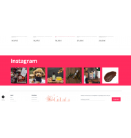 Instagram Gallery